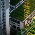 Green Roofing: Everything You Need to Know