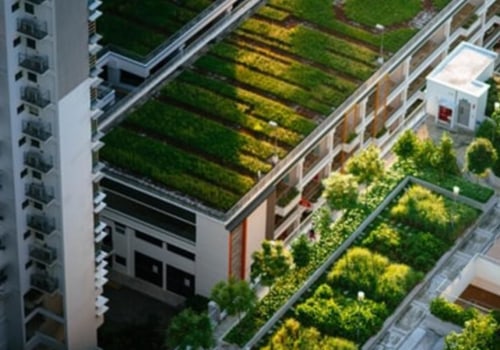 Green Roofing: Everything You Need to Know